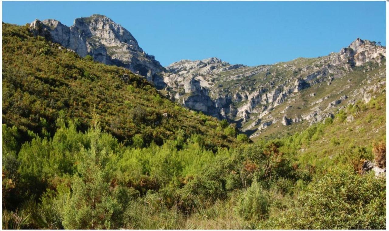 فيلا Casa Almendra El Perelló المظهر الخارجي الصورة