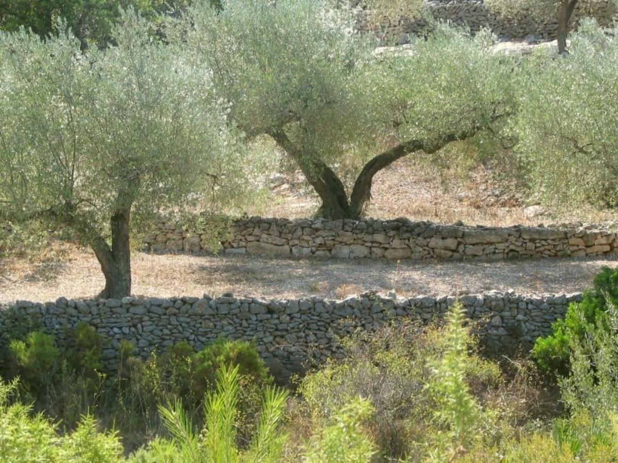 فيلا Casa Almendra El Perelló المظهر الخارجي الصورة