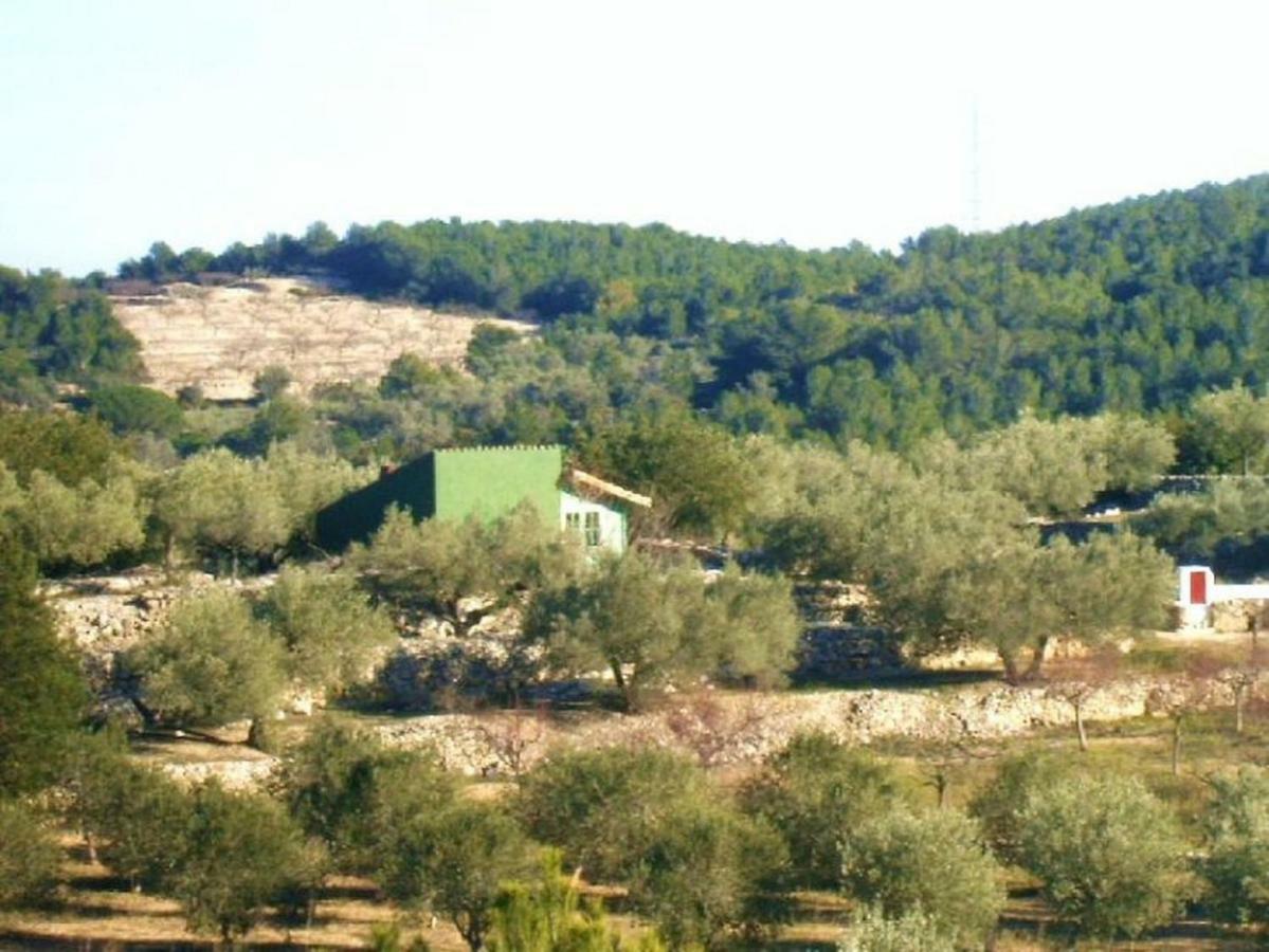 فيلا Casa Almendra El Perelló المظهر الخارجي الصورة